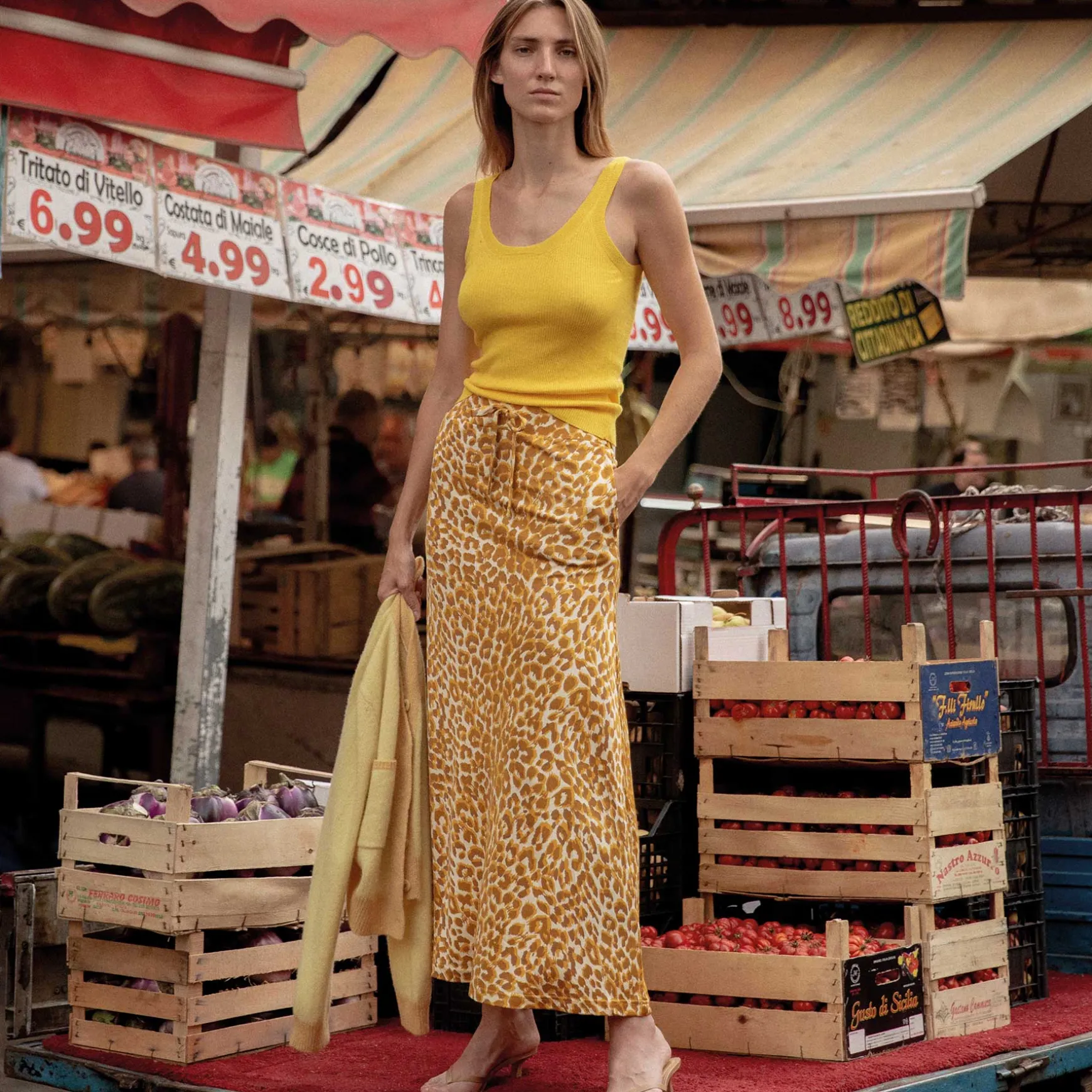 Cardigan Collar 2-Tone