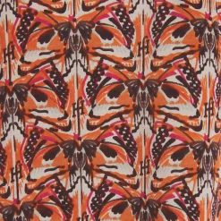 Top Lazy Monarch Butterfly